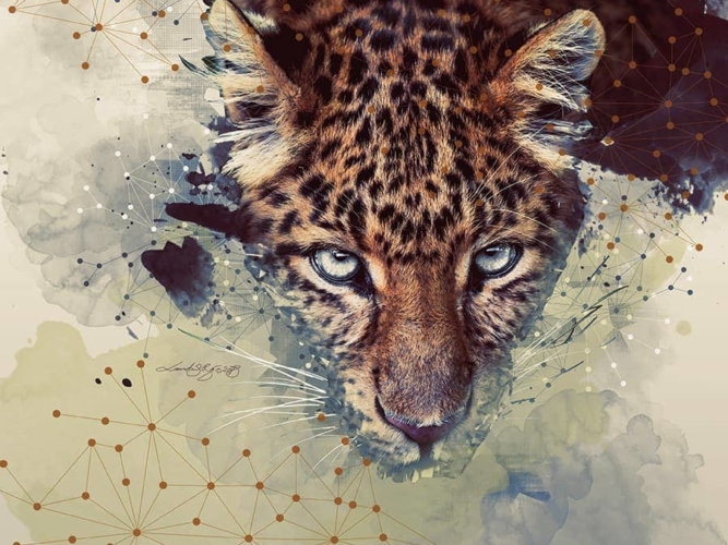 Création tissu Panther